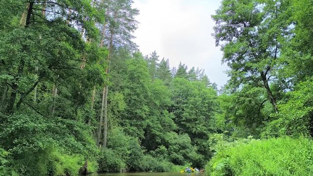 Flowing through a dense forest with patches of sunlight, the river,