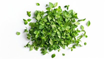 Obraz premium A pile of fresh green leaves sitting on a white background, ready for use in various designs