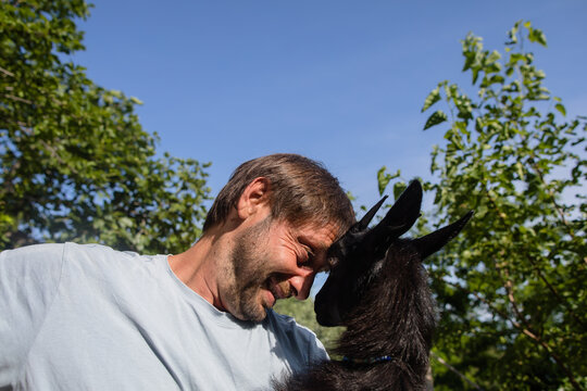 Liitle goat and farmer butting heads