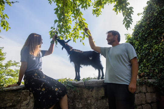 Country couple and their little goat under the mulberry tree