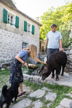 Village pair and a big hog