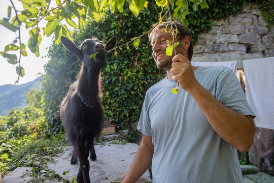 Farmer and nanny-goat in the garden