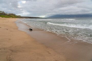 Hawaii: The Aloha State
Experience the breathtaking beauty and vibrant culture of Hawaii, from its stunning beaches and lush landscapes to its rich traditions and welcoming spirit.