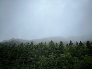 fog in the mountains