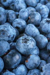 Fresh raw organic blueberries background. Food background, backdrop, wallpaper, summer harvest.