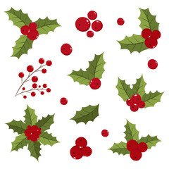 Holly berry icons set. Design elements for Christmas. Vector illustration