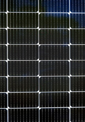 The surface of the solar cell