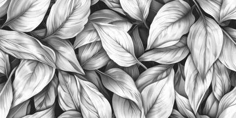Black and white illustration of overlapping leaves.