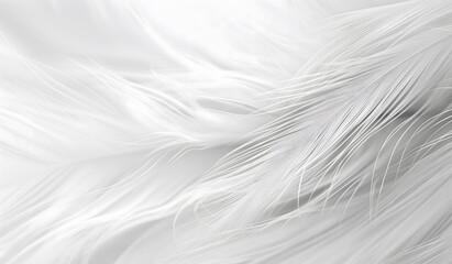 Obraz premium delicate white feathers forming a soft and airy abstract background suitable for use in luxury bedding advertisements calming spa products