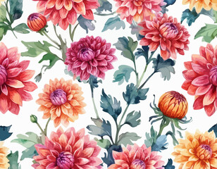 Dahlia flower, chrysanthemum. Watercolor botanical illustration. Element for design of packaging, logo, cards, wedding printing, invitations, advertising
