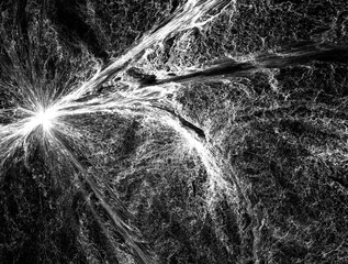 Imaginatory fractal abstract background Image