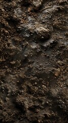 Revitalizing Nutrient Poor Soil. Soil Texture Restoration Concept