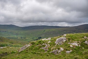 Fototapeta premium Ring of Kerry, Ireland