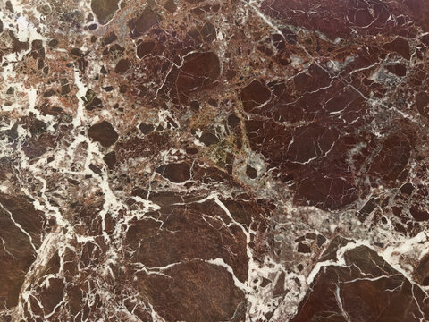 Rich Brown Marble with Complex White Veining and Texture