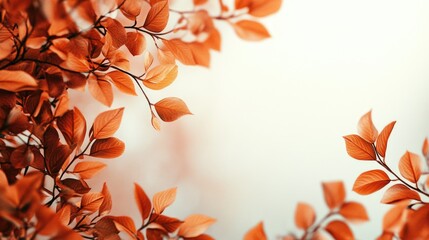 A detailed view of multiple interconnected leaves