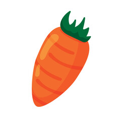 Isolated carrot Vegetable icon Vector