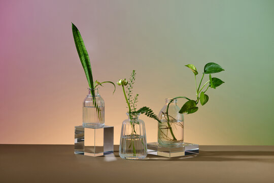 Many different stylish vases on colorful light background