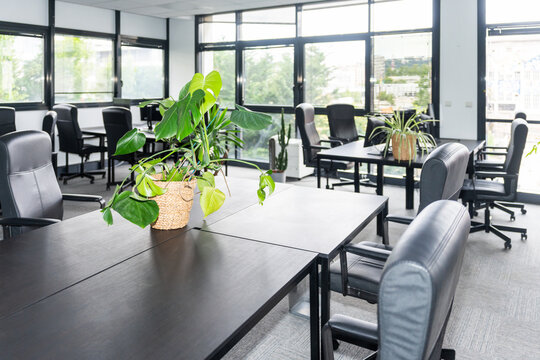 Bright Office Interior