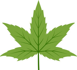 Maple leaf icon. Autumn leaf symbol. Flat style.