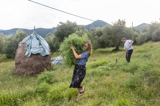 Villagers on the haymaking