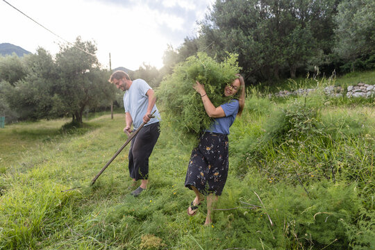 Man and woman on the haymaking