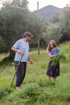 Spouses harvest fresh grass