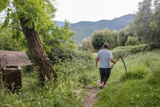 Farmer with scythe walking away to the field