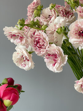 Bouquets of gentle fresh flowers 