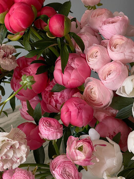 Many fresh peony flowers