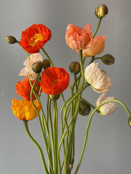 Fresh range flowers on grey background