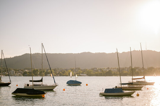 Sailboats at sunset in zurich
