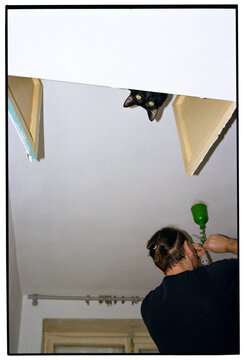 The cat looks at the camera while the man changes the light bulb