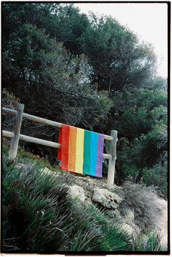 rainbow flag in the woods, 35mm