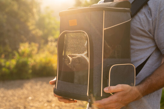 Man and cat outdoors