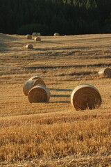 Straw bales