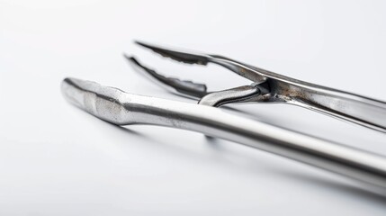 Lobster cracker and pick arranged on a white surface, perfect for enhancing a seafood feast