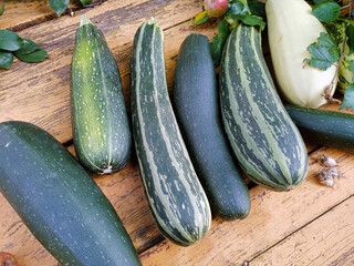 The harvest of zucchini lies on the background of a table made of wood and old boards next to apples and garlic. Harvesting in the backyard of a farm in the village. Farming, vegetables