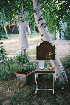 Garden rustic still life
