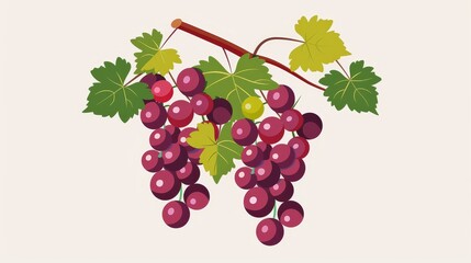 A grapevine with bunches of grapes, flat design, basic shapes, 2D vector art, plain and uncluttered style