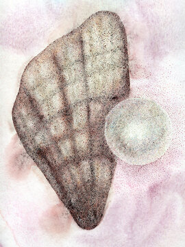 seashell with pearl