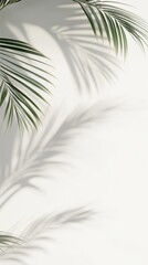 Fototapeta premium A minimalist background featuring green palm leaves casting shadows on a white wall. The interplay of light and shadow creates a serene and tropical atmosphere. Vertical orientation.