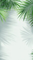 A serene background featuring green palm leaves with soft shadows cast on a light-colored wall. The composition creates a tropical and calming atmosphere.