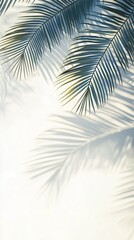 Obraz premium Close-up of palm leaves casting shadows on a light background, creating a serene and tropical atmosphere. Vertical orientation.