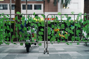 Bikes Parked Behind Green Leaf-Covered Fence