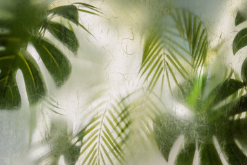 Blurred Green Leaves Behind Frosted Glass