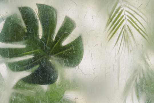 Blurred Green Leaves Behind Frosted Glass