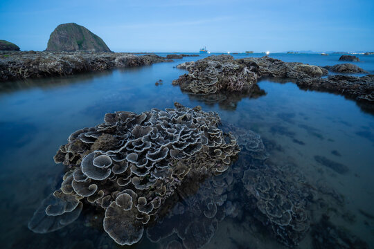 Dry coral reef