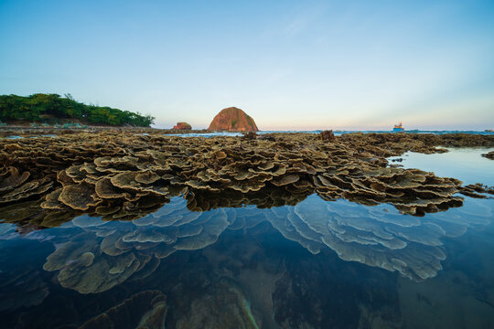 Dry coral reef