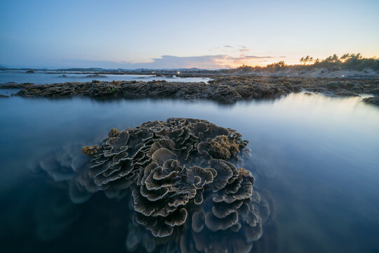Dry coral reef