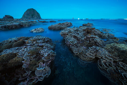 Emerging coral reef